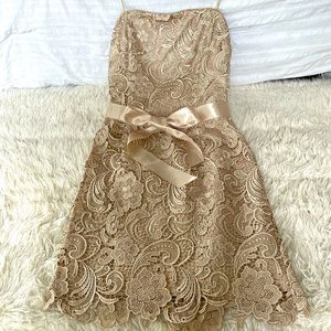 Gorgeous lace Adrianna Papell strapless cocktail dress